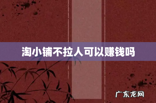 淘小铺不拉人可以赚钱吗