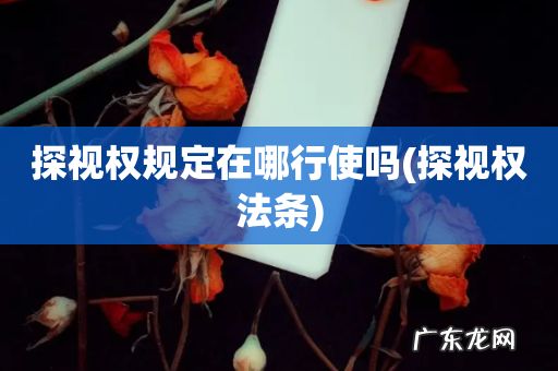 探视权法条 探视权规定在哪行使吗