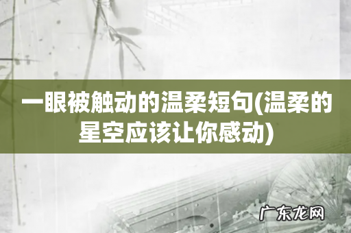 温柔的星空应该让你感动 一眼被触动的温柔短句