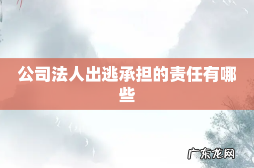 公司法人出逃承担的责任有哪些