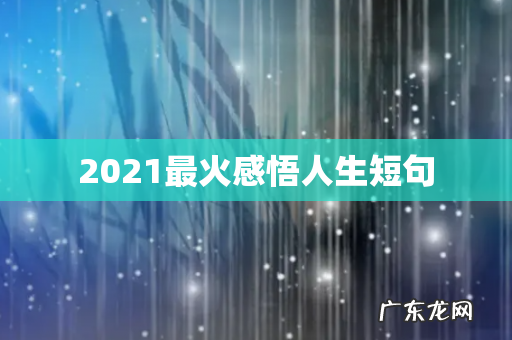 2021最火感悟人生短句