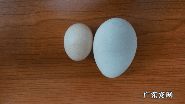 你认为鹅蛋有什么营养价值呢 鹅蛋的营养价值?