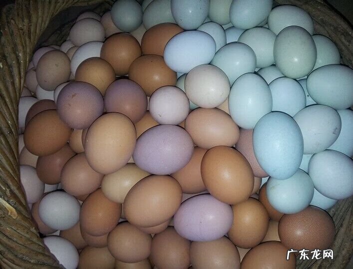 你认为鹅蛋有什么营养价值呢 鹅蛋的营养价值?