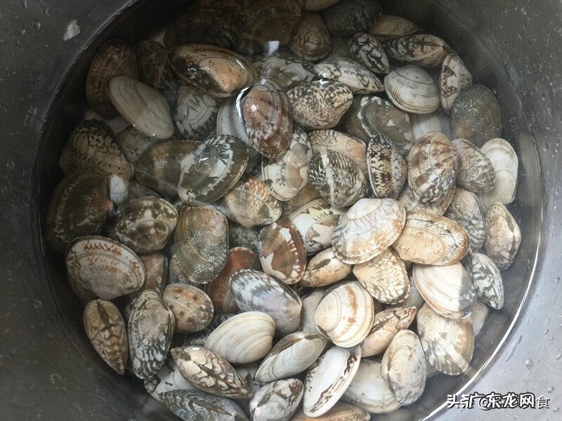 小贝壳的做法 贝壳的做法家常做法