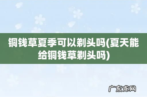 夏天能给铜钱草剃头吗 铜钱草夏季可以剃头吗