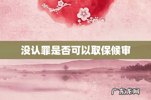 没认罪是否可以取保候审