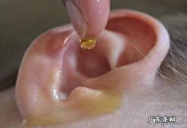 风水与耳朵的案例 耳朵里有虫子是什么症状