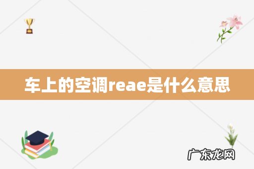 车上的空调reae是什么意思
