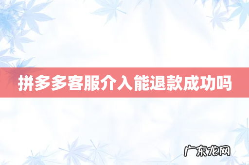 拼多多客服介入能退款成功吗