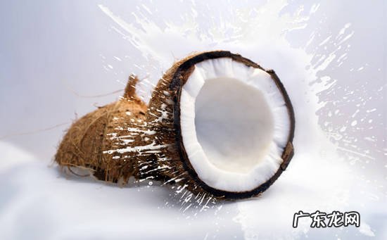 椰子的功效作用及食用禁忌
