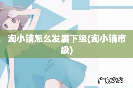 淘小铺市级 淘小铺怎么发展下级