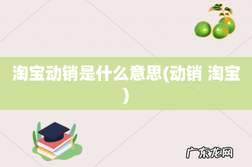 动销 淘宝 淘宝动销是什么意思