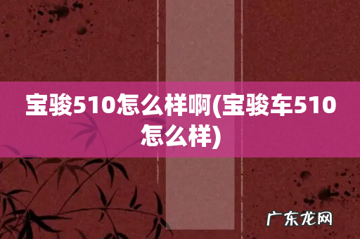 宝骏车510怎么样 宝骏510怎么样啊