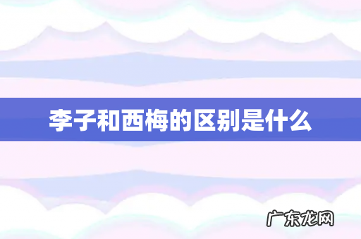 李子和西梅的区别是什么
