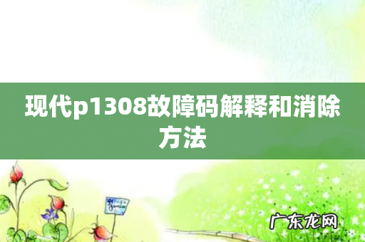 现代p1308故障码解释和消除方法