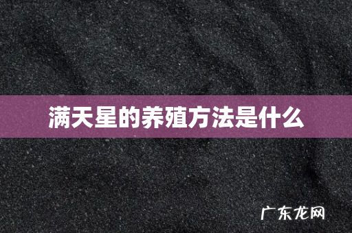 满天星的养殖方法是什么