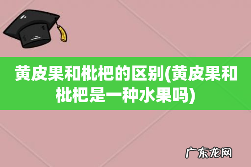 黄皮果和枇杷是一种水果吗 黄皮果和枇杷的区别