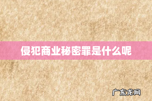 侵犯商业秘密罪是什么呢