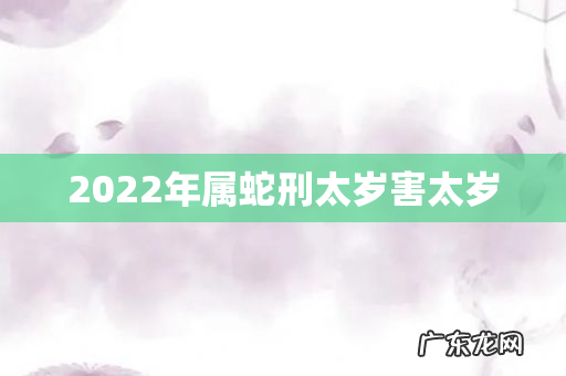 2022年属蛇刑太岁害太岁