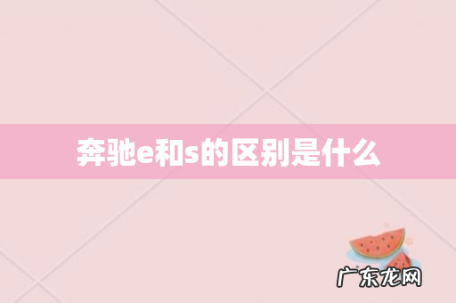 奔驰e和s的区别是什么