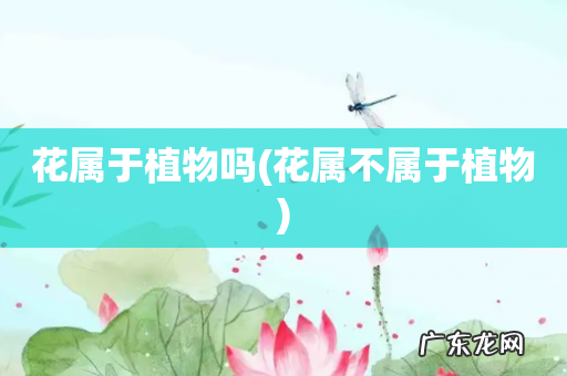 花属不属于植物 花属于植物吗