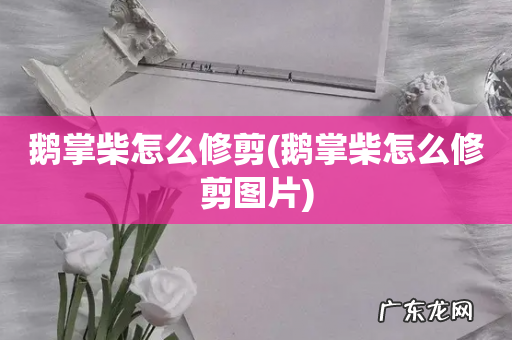 鹅掌柴怎么修剪图片 鹅掌柴怎么修剪