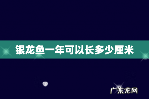 银龙鱼一年可以长多少厘米