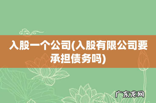 入股有限公司要承担债务吗 入股一个公司