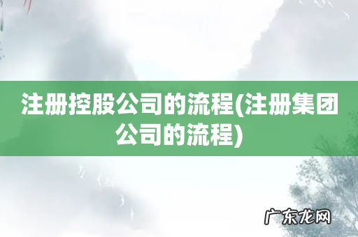 注册集团公司的流程 注册控股公司的流程