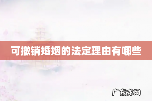 可撤销婚姻的法定理由有哪些