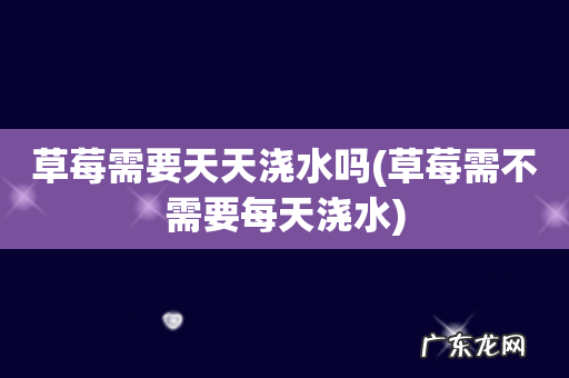 草莓需不需要每天浇水 草莓需要天天浇水吗