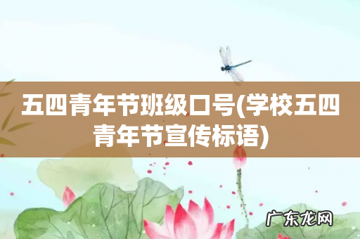 学校五四青年节宣传标语 五四青年节班级口号