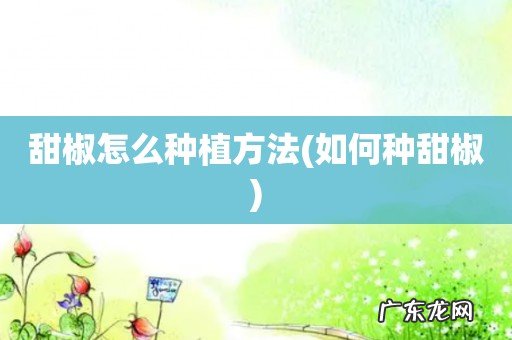 如何种甜椒 甜椒怎么种植方法