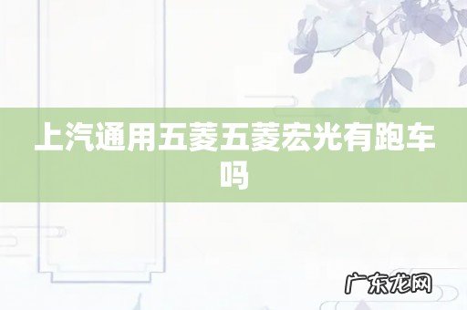 上汽通用五菱五菱宏光有跑车吗