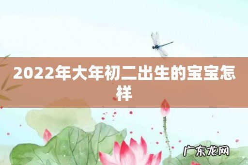 2022年大年初二出生的宝宝怎样