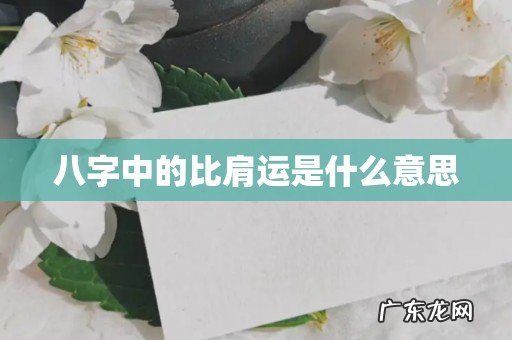 八字中的比肩运是什么意思