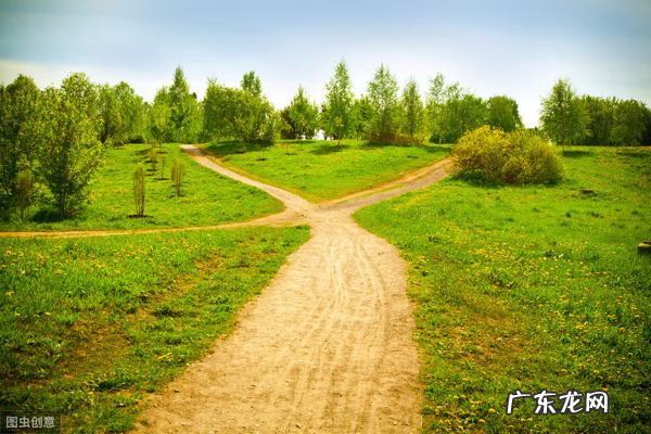 奖学金申请书 奖学金申请书范文6篇
