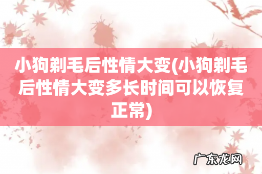 小狗剃毛后性情大变多长时间可以恢复正常 小狗剃毛后性情大变