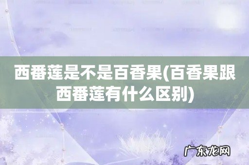 百香果跟西番莲有什么区别 西番莲是不是百香果