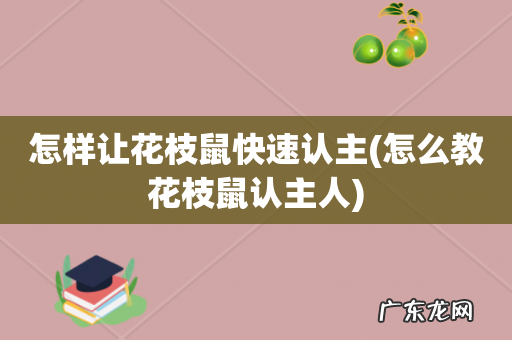 怎么教花枝鼠认主人 怎样让花枝鼠快速认主