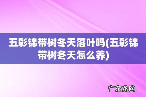 五彩锦带树冬天怎么养 五彩锦带树冬天落叶吗