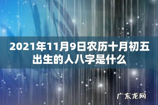 2021年11月9日农历十月初五出生的人八字是什么