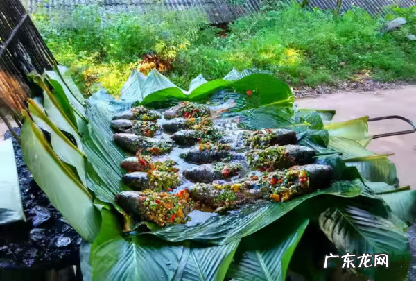 普洱气候特点 普洱城市风光