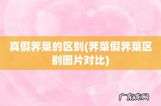 荠菜假荠菜区别图片对比 真假荠菜的区别