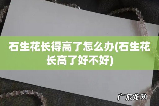 石生花长高了好不好 石生花长得高了怎么办