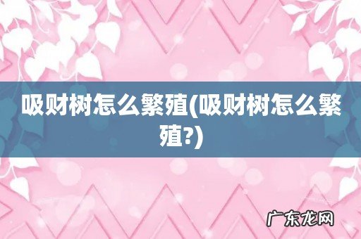 吸财树怎么繁殖? 吸财树怎么繁殖