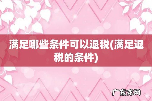 满足退税的条件 满足哪些条件可以退税