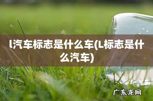 L标志是什么汽车 l汽车标志是什么车
