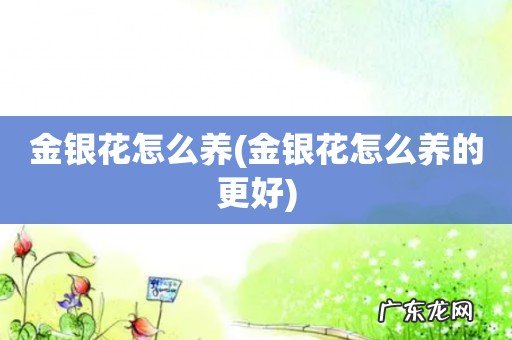 金银花怎么养的更好 金银花怎么养