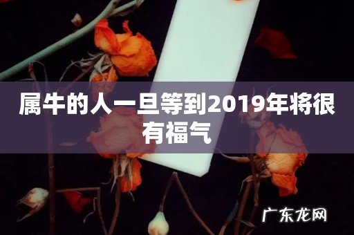 属牛的人一旦等到2019年将很有福气